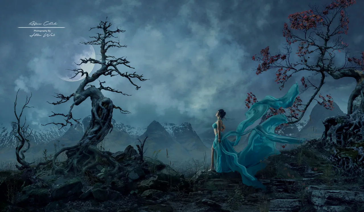 Manipulation Art, photograph 8