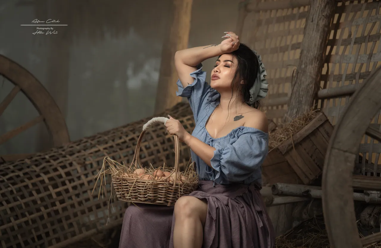 Collection 3, photograph 6